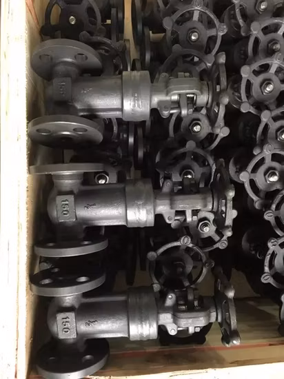 Фланцевая задвижка из кованой стали A105 от DN 15 до DN 50/запорный клапан/обратный клапан