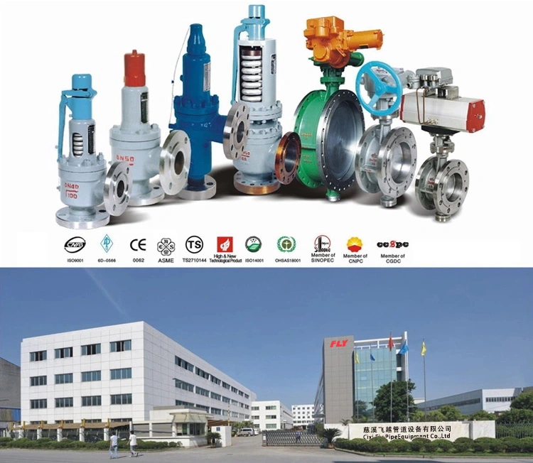 High Pressure Arc Automatic Recirculation Valve